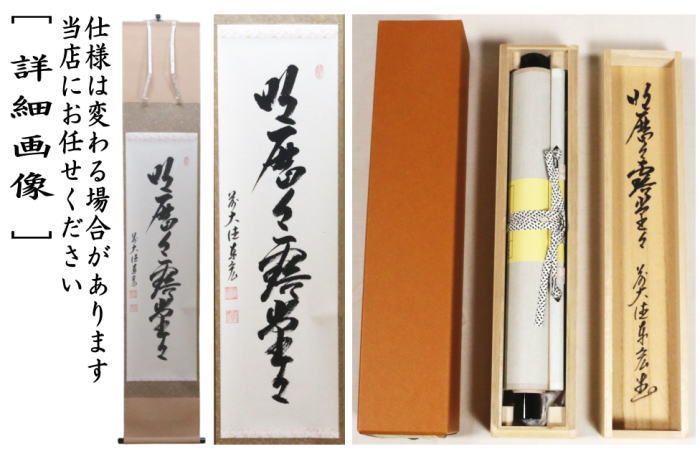 【茶器/茶道具 掛軸(掛け軸)】 一行 明歴々露堂々 松涛泰宏筆(宗潤)(まつなみたいこう) (松濤泰宏筆)