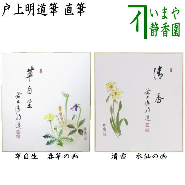 ◎【茶器/茶道具 色紙画賛】 直筆 草自生 春草の画又は清香 水仙の画