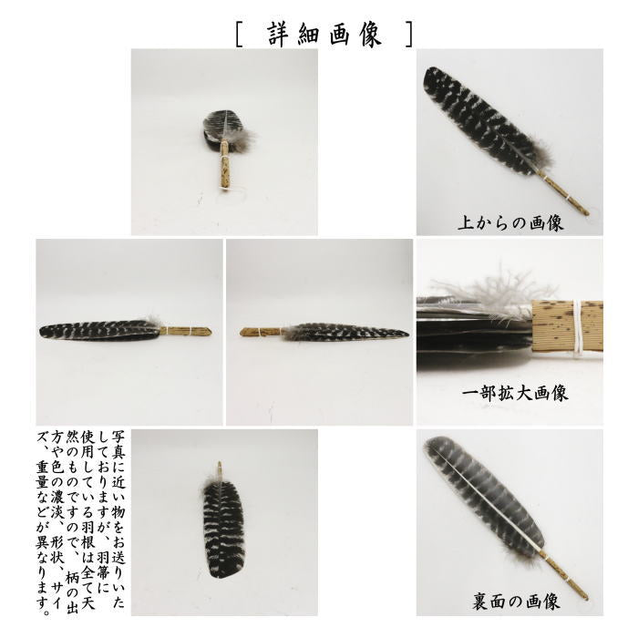 【茶器/茶道具 炭道具】 羽箒 唐国鳥 炉用