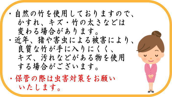 【茶器/茶道具 銘付茶杓】 銘「若松」 尋牛斎書付(久田宗也宗匠) 下削り:黒田宗傳作