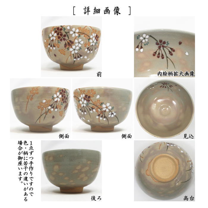 【茶器/茶道具 抹茶茶碗】 乾山写し 桜 山川巌窯