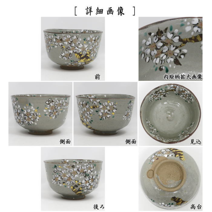 【茶器/茶道具 抹茶茶碗】 乾山写し 桜 鵬雲斎書付 和田桐山作(琴浦窯)