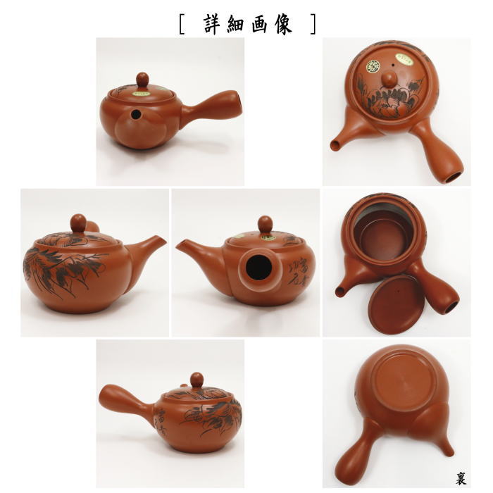 【急須】 常滑焼き(とこなめ焼き) 朱泥 牡丹 帯網(帯アミ) 約540ml