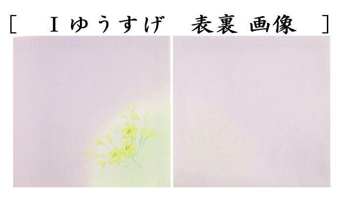 【茶器/茶道具 帛紗】 佐保路 友禅帛紗 正絹 絽織り 9種類より選択 (袱紗・服紗・ふくさ) 友仙 友仙帛紗 友仙袱紗 ゆうぜん
