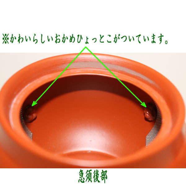 【急須】 常滑焼き(とこなめ焼き) スーパーワイド網 約560ml(31号) 日本製