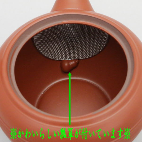 【急須】 常滑焼き(とこなめ焼き) 朱泥 平網(平アミ) 約515ml(29号) 日本製