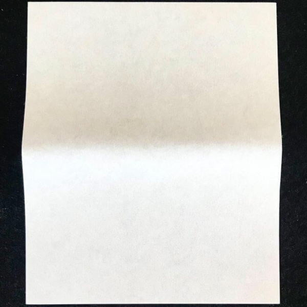 【茶器/茶道具 懐紙】 利休絹懐紙 無地 1帖~ 利休懐紙本舗