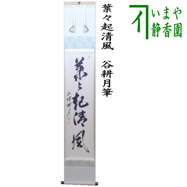 茶器/茶道具 掛軸（掛け軸）】 一行 葉々起清風 谷耕月筆 （正眼寺） – 今屋静香園