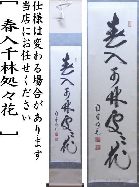 【茶器/茶道具 掛軸(掛け軸)】 一行 春入千林処々花 田島碩應筆