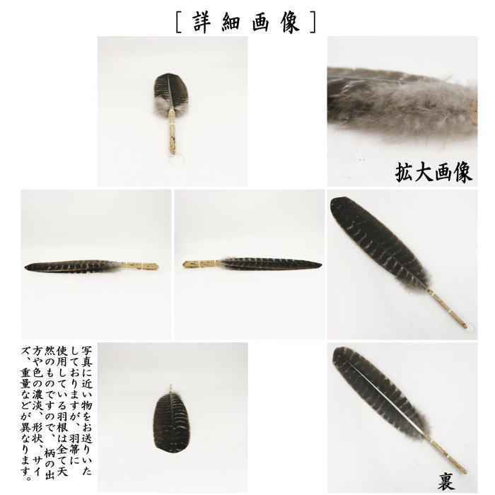 【茶器/茶道具 炭道具】 羽箒 唐国鳥 風炉用