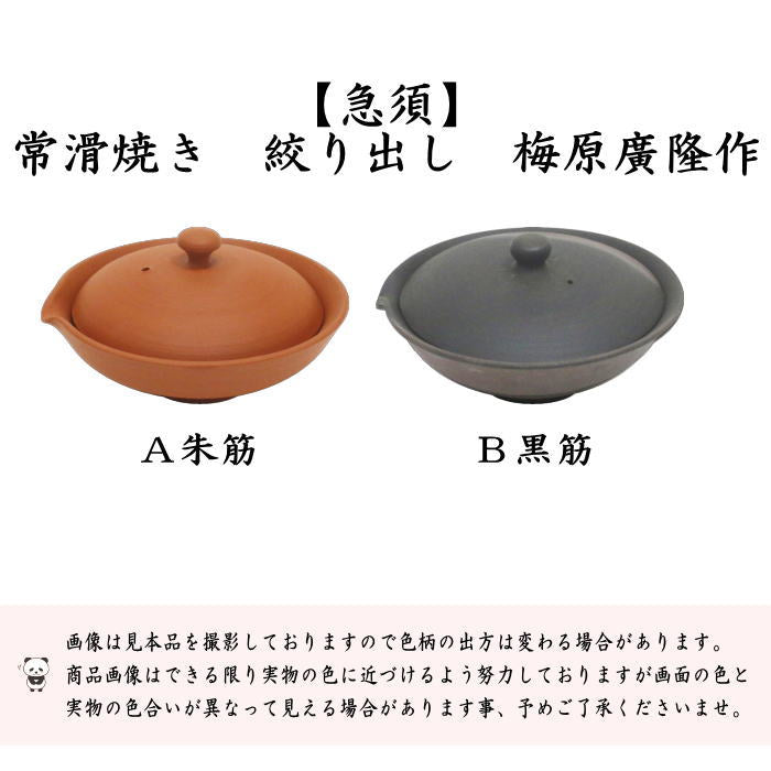 〇【煎茶器 急須】 宝瓶（ほうひん） 常滑焼き 絞出し 朱又黒 60ml