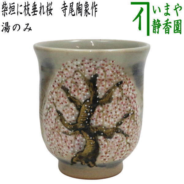 【湯のみ（湯呑み・湯飲み）/コップ】　柴垣に枝垂れ桜　寺尾陶象作