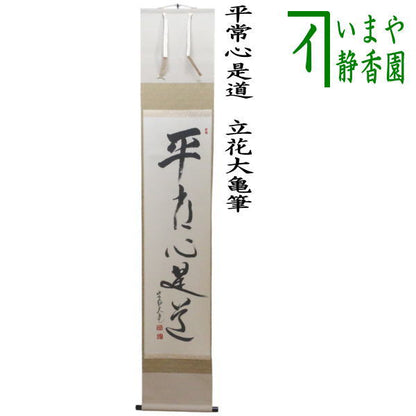 【茶器/茶道具　掛軸（掛け軸）】　一行/太巻　平常心是道　立花大亀筆　通常より長めのサイズ