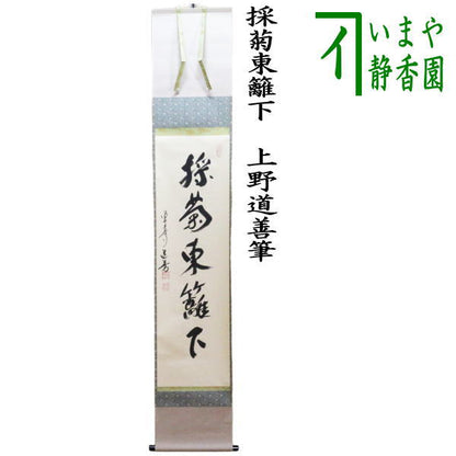 【茶器/茶道具　掛軸（掛け軸）】　一行　採菊東籬下　上野道善筆　（東大寺長老）