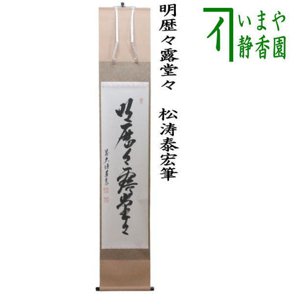 【茶器/茶道具　掛軸（掛け軸）】　一行　明歴々露堂々　松涛泰宏筆（宗潤）（まつなみたいこう）　（松濤泰宏筆）