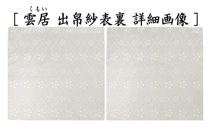 茶器/茶道具 出帛紗 干支「巳」】 干支出帛紗 紹巴織り 正絹 紹巴稲妻