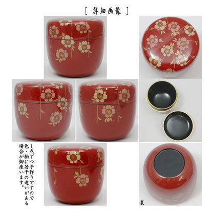 【茶器/茶道具　なつめ（お薄器）】　大棗　朱塗り　枝垂桜蒔絵（枝垂れ桜蒔絵）　早見征一作