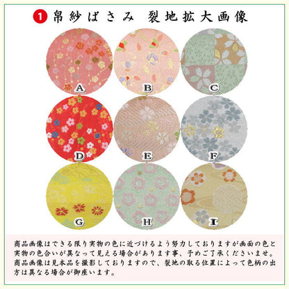 〇【茶器/茶道具セット　初心者用/お稽古用/練習用】　6点裏千家入門者セット　（正絹帛紗・クリアケース付）