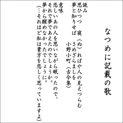 【茶器/茶道具　野点籠/野点セット】　小袖籠　9点セット　花卯段紋　大サイズ　（野点篭・野立籠・野立篭・野立セット）