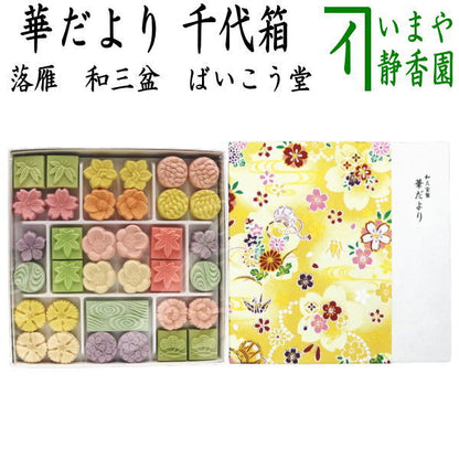 【お菓子　和菓子/干菓子】　落雁（らくがん）　和三盆糖　華だより　一段　ばいこう堂
