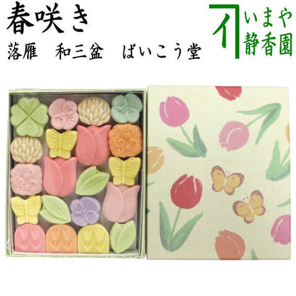【お菓子　和菓子/干菓子】　落雁（らくがん）　和三盆糖　春咲き　ばいこう堂