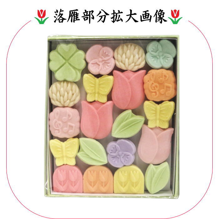 【お菓子　和菓子/干菓子】　落雁（らくがん）　和三盆糖　春咲き　ばいこう堂