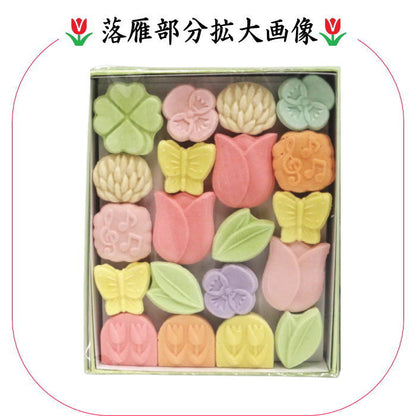 【お菓子　和菓子/干菓子】　落雁（らくがん）　和三盆糖　春咲き　ばいこう堂