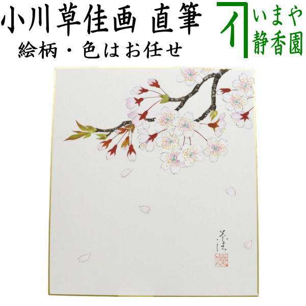 【茶器/茶道具　色紙画賛】　直筆　桜の画　小川草佳画　絵柄はお任せください。