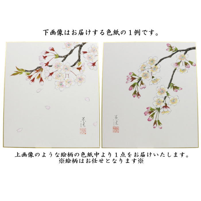 【茶器/茶道具　色紙画賛】　直筆　桜の画　小川草佳画　絵柄はお任せください。
