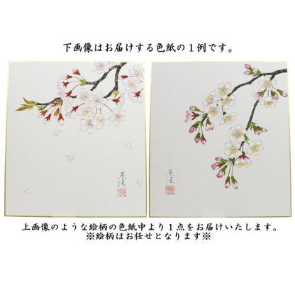 【茶器/茶道具　色紙画賛】　直筆　桜の画　小川草佳画　絵柄はお任せください。