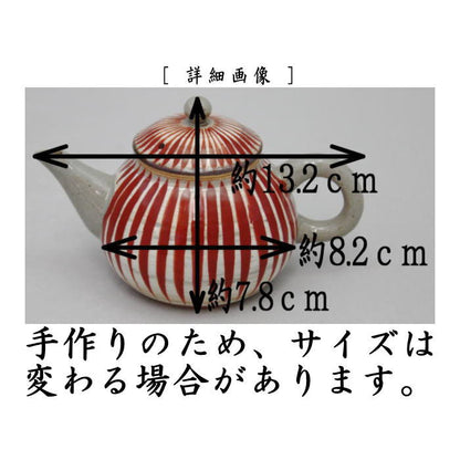 [Sencha tea utensils teapot] Back-hand teapot Akajukusa Made by Toshizaemon Takemura (Made by Toshizaemon Takemura) (Teapot, teapot, and teapot)