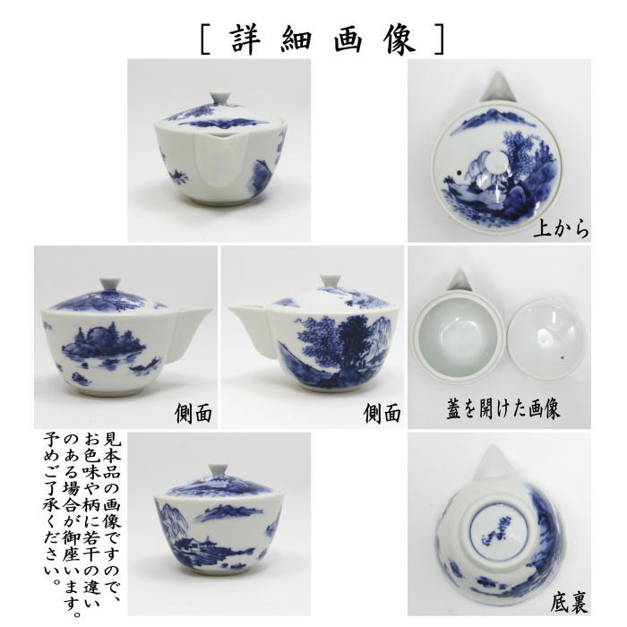 【煎茶道具　急須】　宝瓶（宝品）　染付　山水　高野昭阿弥作　（ほうひん）