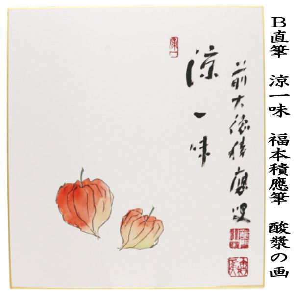 茶道具 掛軸 掛け軸 一行画賛 百々千々萬々歳 福本積應筆 亀の画 茶道