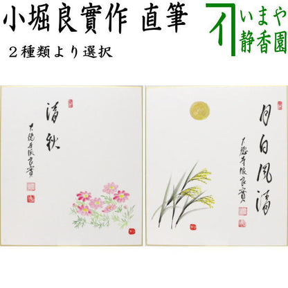 【茶器/茶道具　色紙画賛】　直筆　清秋　コスモスの画又は月白風清　月に芒の画　小堀良實筆