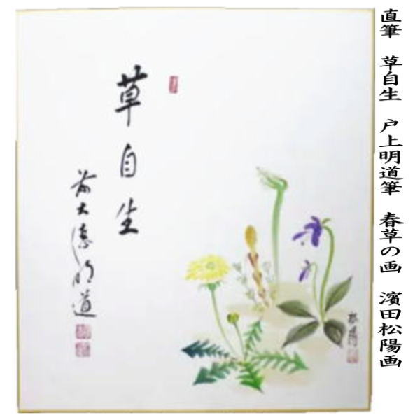 ◎【茶器/茶道具 色紙画賛】 直筆 草自生 春草の画又は清香 水仙の画