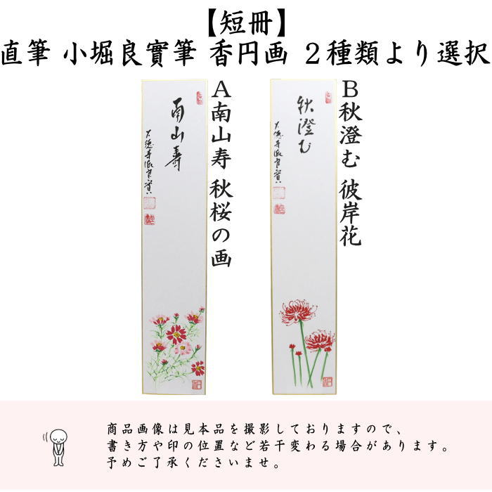 【茶器/茶道具　短冊画賛】　直筆　南山寿　秋桜の画又は秋澄む　彼岸花（曼珠沙華）　小堀良實筆　香円画