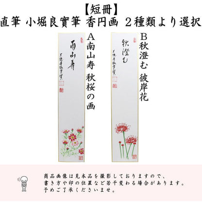 【茶器/茶道具　短冊画賛】　直筆　南山寿　秋桜の画又は秋澄む　彼岸花（曼珠沙華）　小堀良實筆　香円画