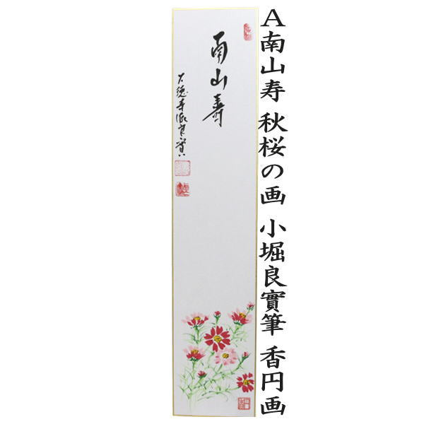 【茶器/茶道具　短冊画賛】　直筆　南山寿　秋桜の画又は秋澄む　彼岸花（曼珠沙華）　小堀良實筆　香円画
