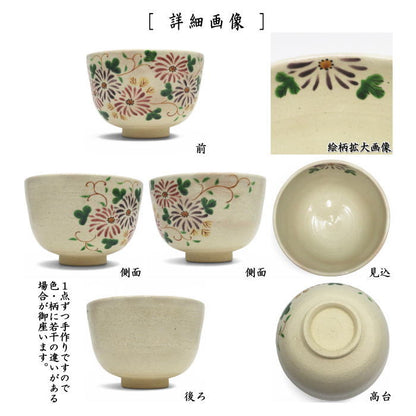 【茶器/茶道具　抹茶茶碗　重陽の節句】　乾山写し　菊唐草　中村与平作