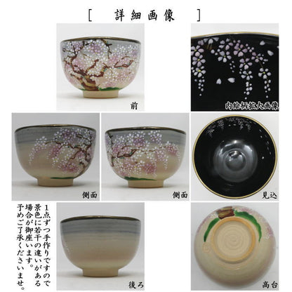 【茶器/茶道具　抹茶茶碗】　乾山写し　嵯峨野の桜　壱休窯