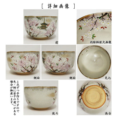 【茶器/茶道具　抹茶茶碗】　乾山写し　御室桜　森下秋彩作