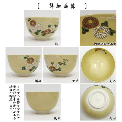 【茶器/茶道具　抹茶茶碗　重陽の節句】　色絵茶碗　万寿菊　加藤永山作