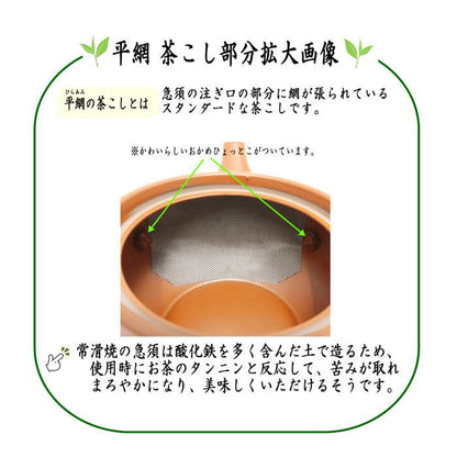【急須】　常滑焼き（とこなめ焼き）　平丸　朱泥　平網（平アミ）　約530ml（30号）　日本製