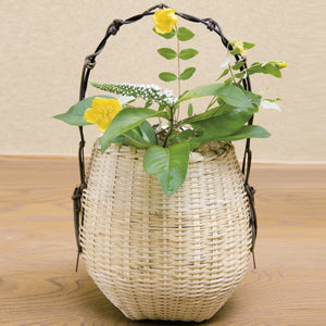 imgrc0063688616.jpg?v= 