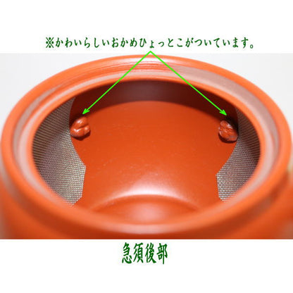 〇【急須】常滑焼き（とこなめ焼き）　朱泥　スーパーワイド網　　約800ml（45号）　日本製