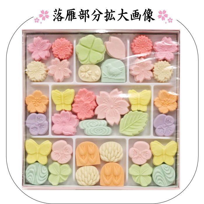 【お菓子　和菓子/干菓子】　落雁（らくがん）　和三盆糖　春の琴　一段　ばいこう堂