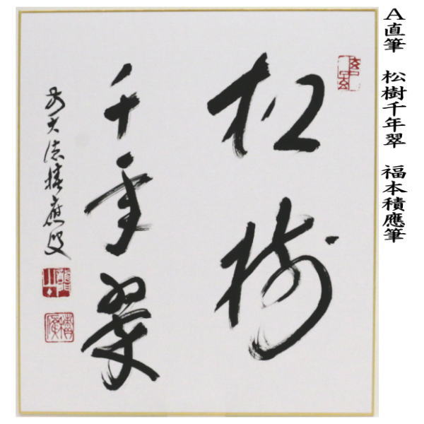 茶器/茶道具 色紙】 直筆 松樹千年翠又松無古今色 福本積應筆 – 今屋静香園