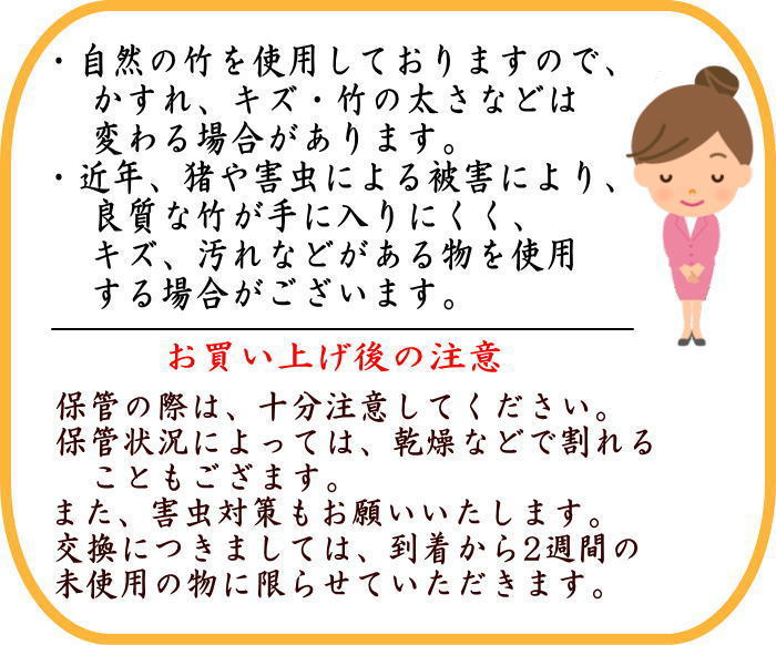 茶器/茶道具 銘付茶杓】 櫂茶杓 真竹 銘「清流」 舟形茶筒入 法谷文雅