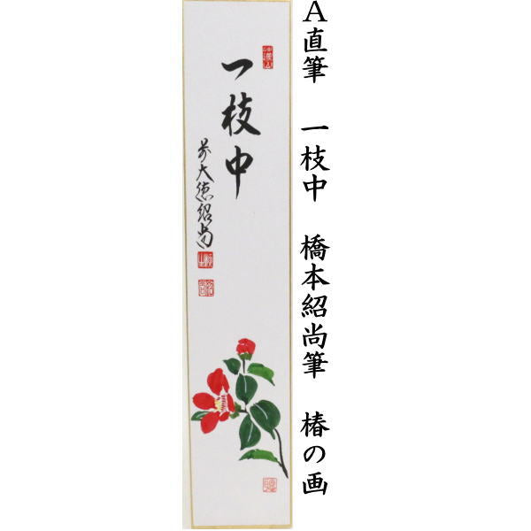 【茶器/茶道具　短冊画賛】　直筆　一枝中　椿の画又は春光　福寿草の画又は吉祥　萬両の画　橋本紹尚筆（柳生紹尚筆）