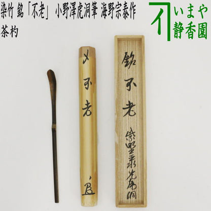 【茶器/茶道具　銘付茶杓】　染竹　銘「不老」　小野澤虎洞筆　海野宗泰作